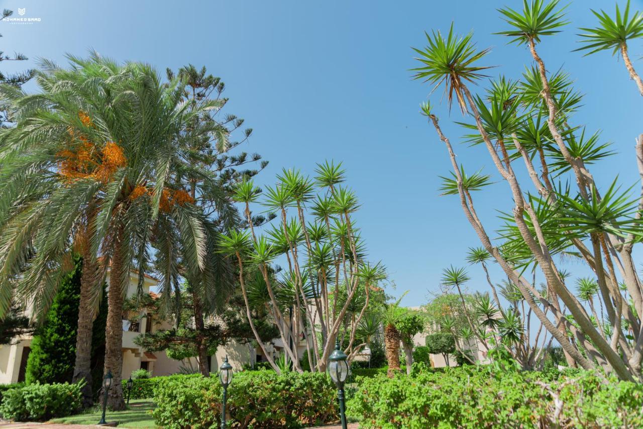 Marhaba Resort Port Said Exterior photo